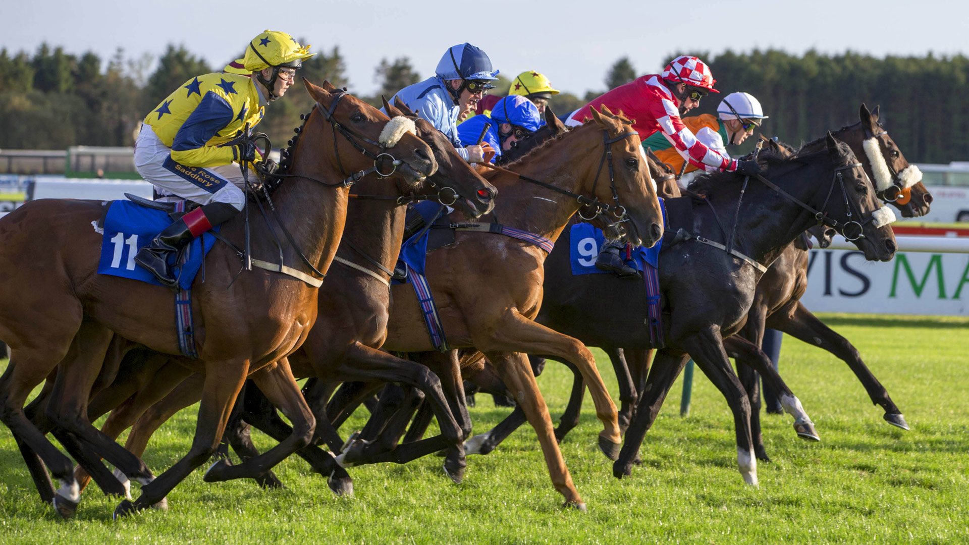Ayr Racing Fixtures - Ayr Racecourse - Scotland’s Premier Racecourse, home to the ...