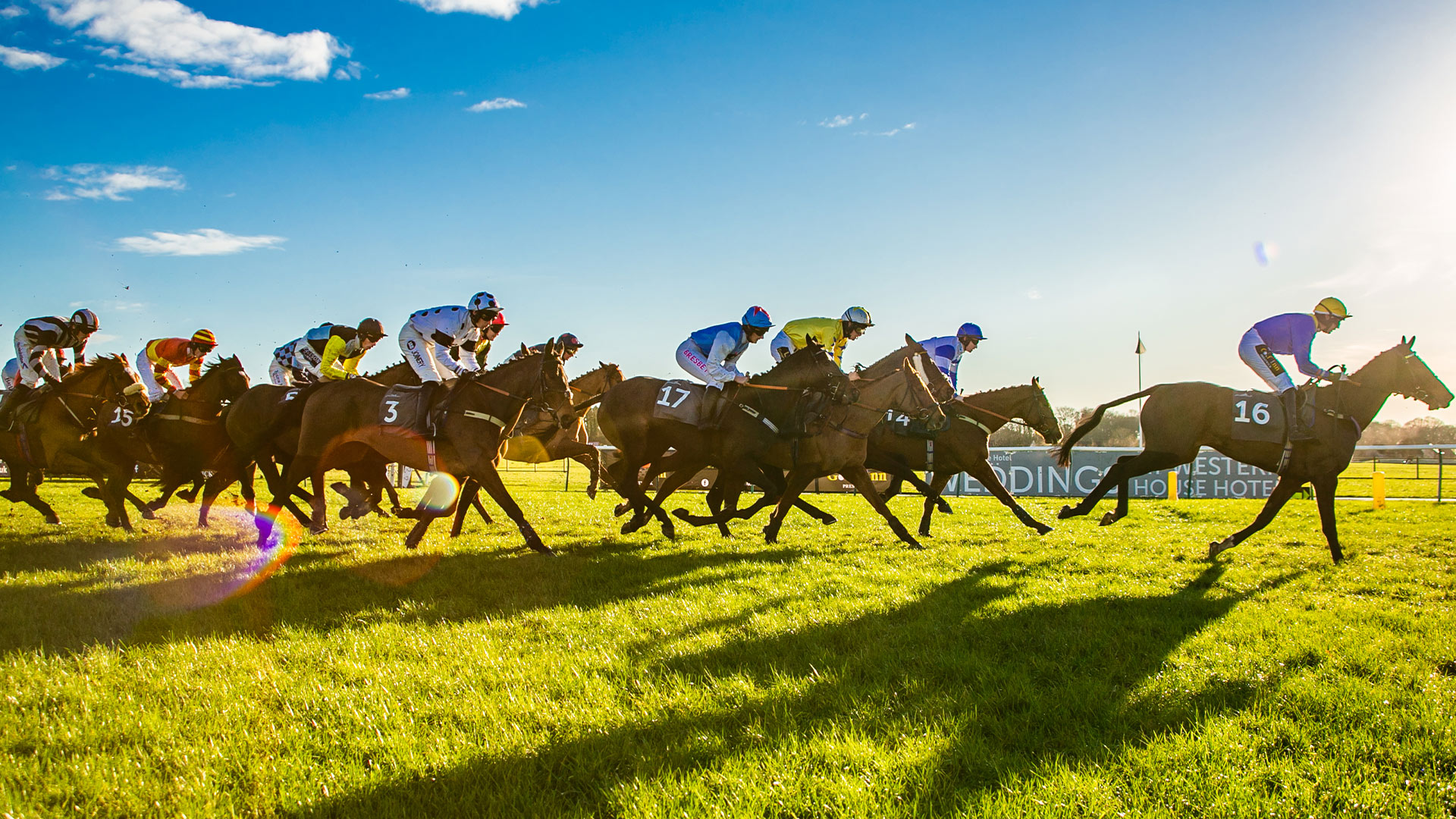 Awards Ayr Racecourse Scotland’s Premier Racecourse, home to the