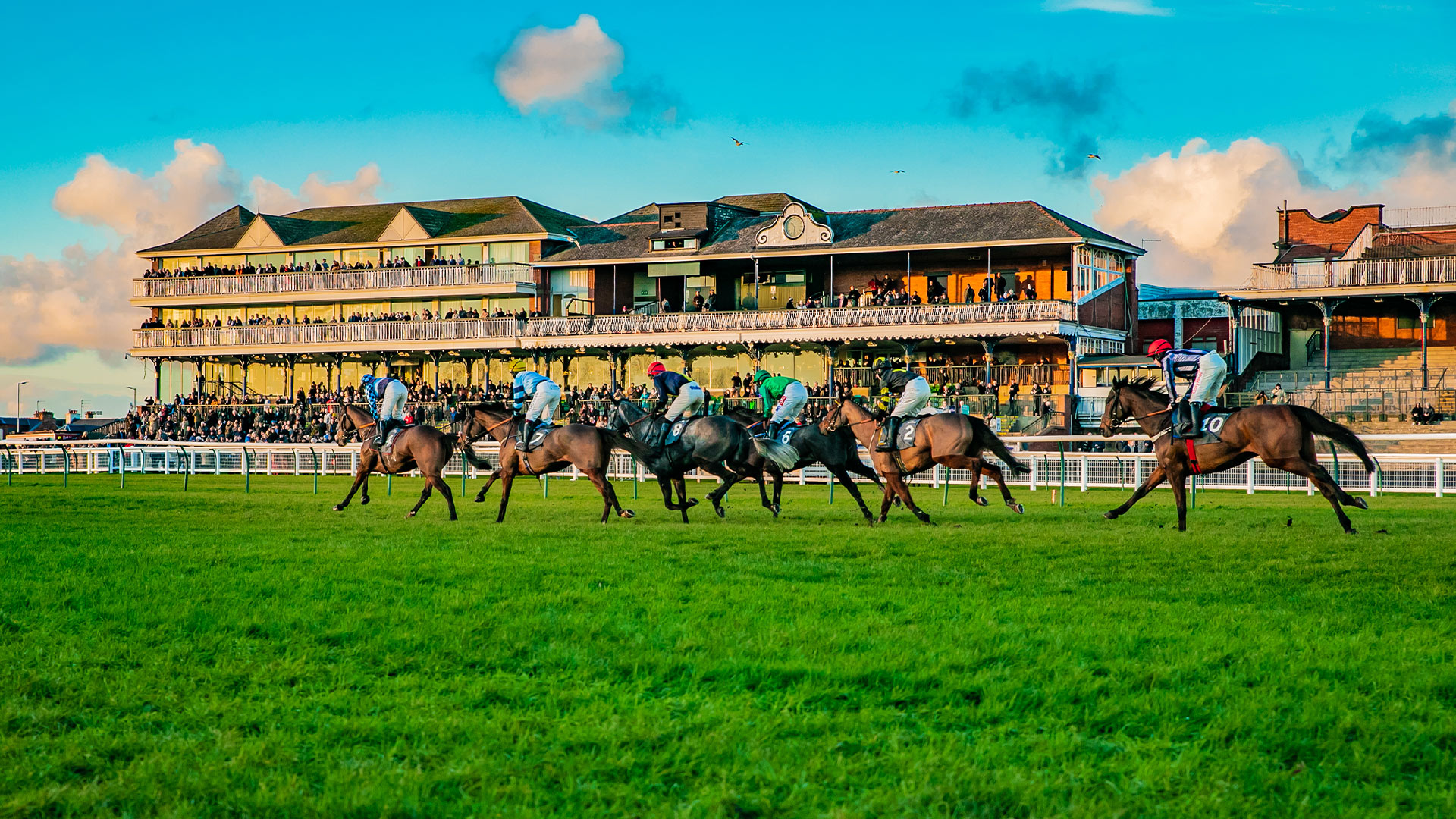 Festival Racing Ayr Racecourse Scotland’s Premier Racecourse, home to the Scottish Grand