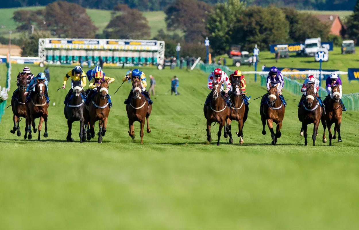 Grandstand Season Tickets Ayr Racecourse Scotland’s Premier