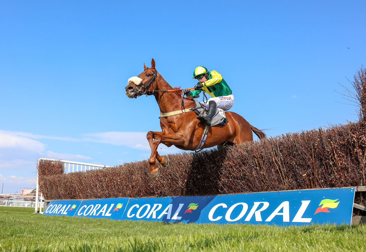2025 Fixture List Ayr Racecourse Scotland’s Premier Racecourse
