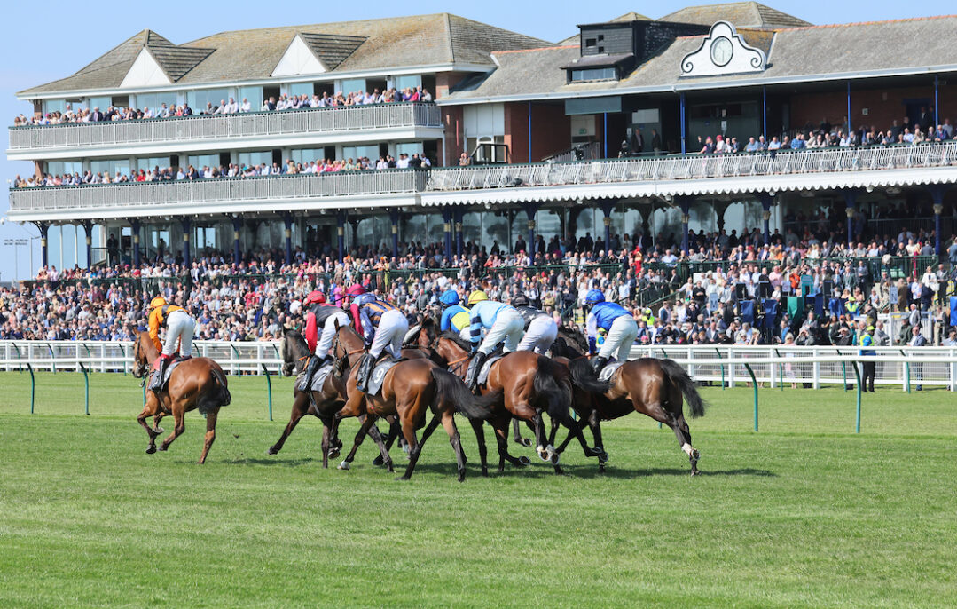 2025 Coral Scottish Grand National Ladies Day Ayr Racecourse