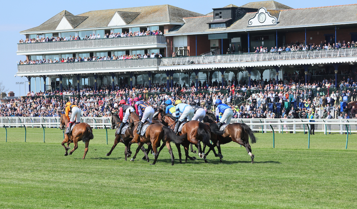 Scottish Grand National 2024 Entries Sadye Conchita