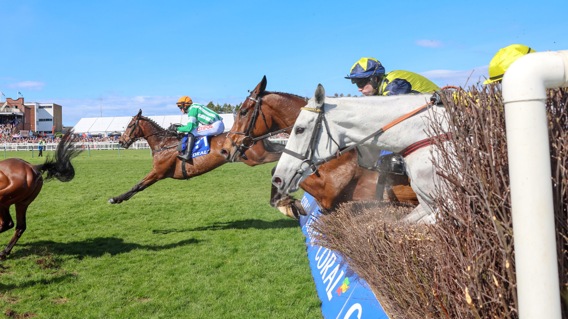 Raceday image