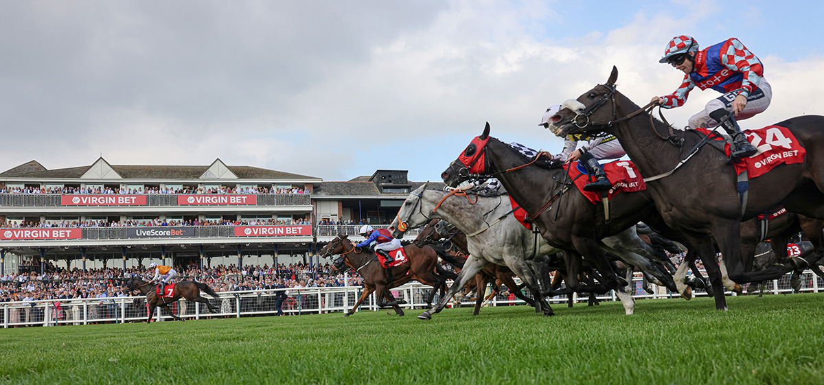 Raceday image