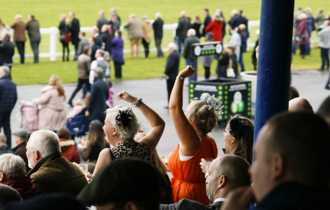 Ayr Racecourse, Jumps Racing, Winter Raceday