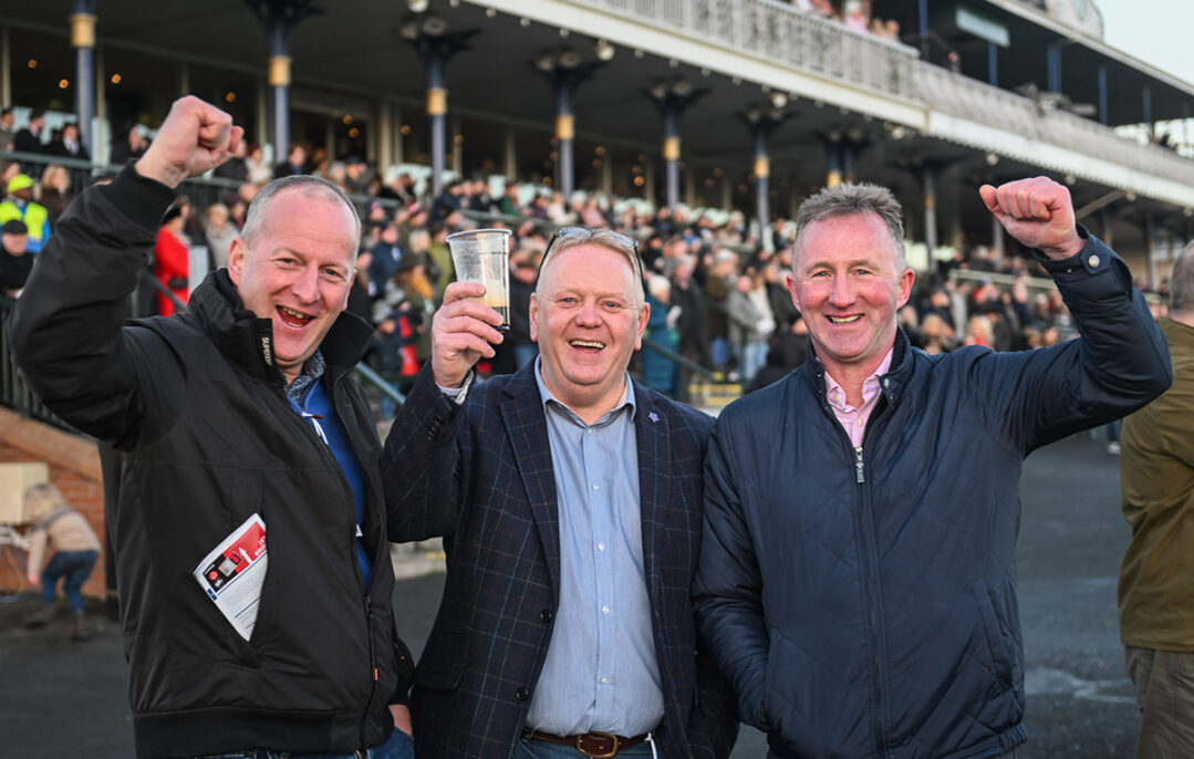 February Raceday, Jumps Racing, Ayr racecourse