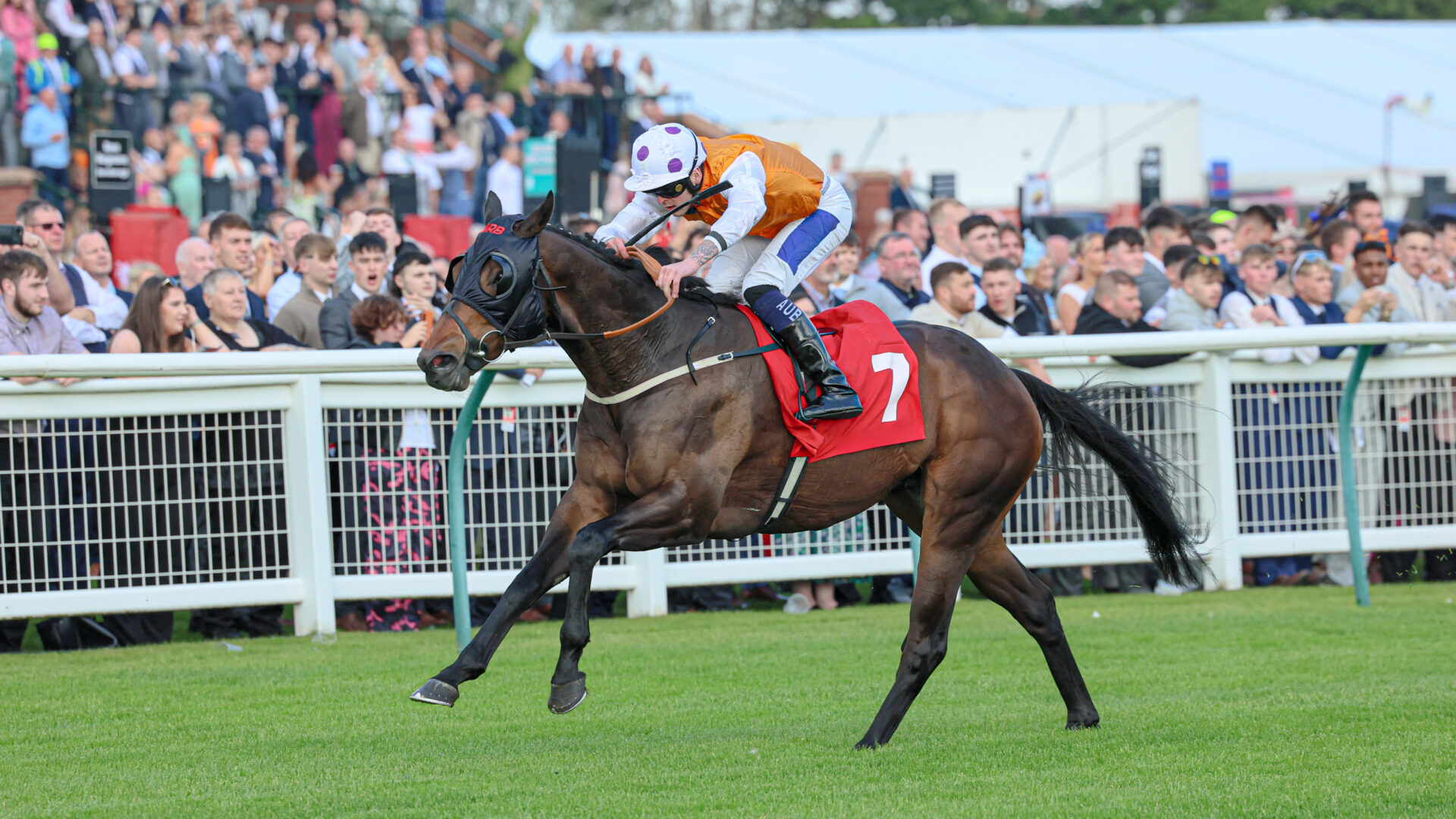 Raceday image