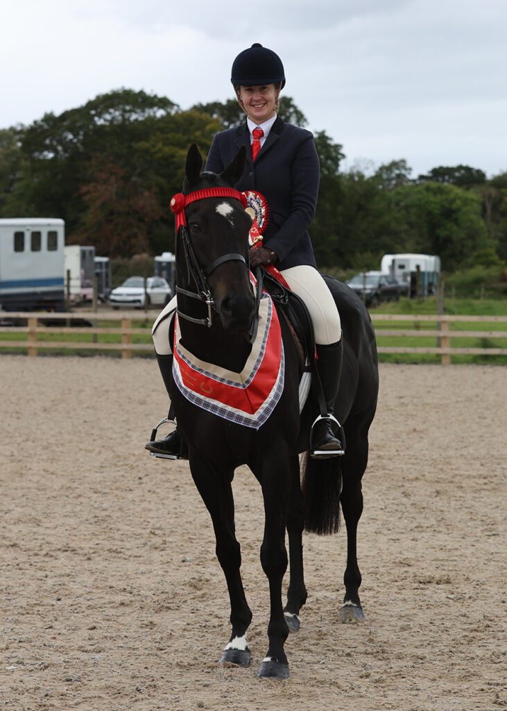 Black Friday, Equine Ambassador