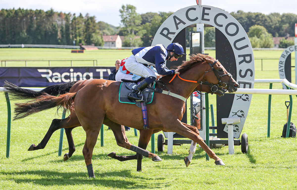 Raceday image